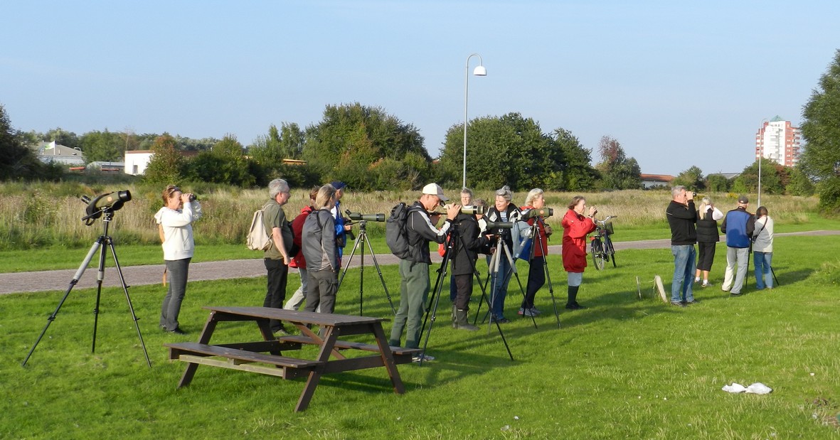 Hamnvandring hösten 2011